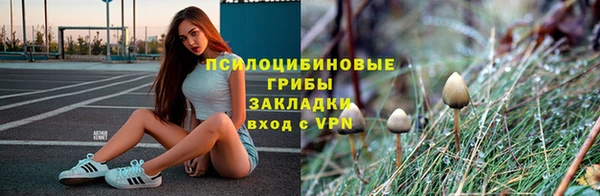 каннабис Арсеньев