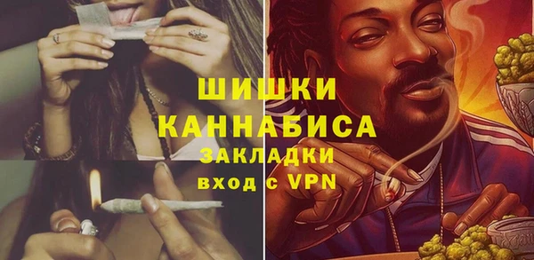 шишки Сясьстрой