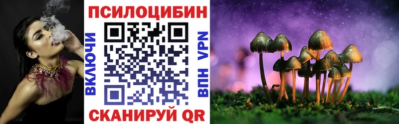 Псилоцибиновые грибы MAGIC MUSHROOMS  Купить закладки  Балабаново 